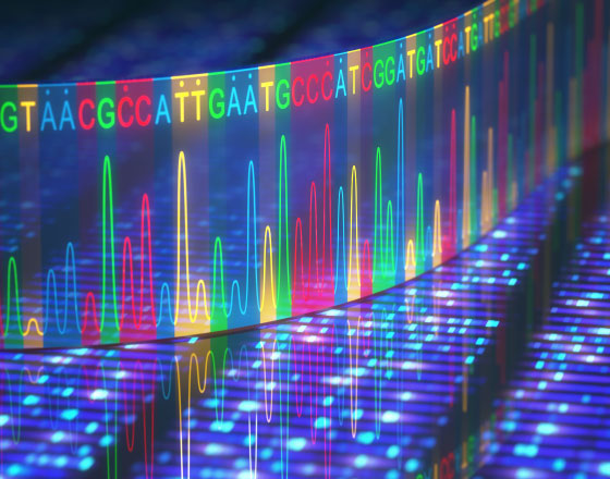 Genotipagem e Sequenciamento de DNA