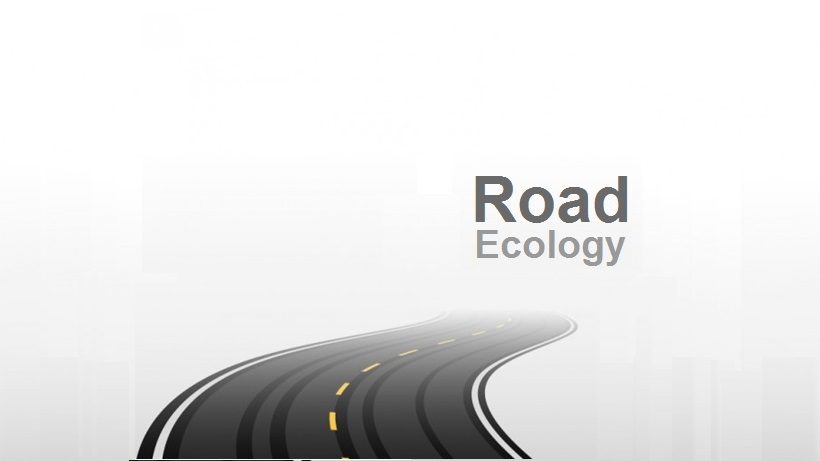 EcoMol publica capítulo de livro sobre a aplicação de marcadores moleculares em Ecologia de Estradas